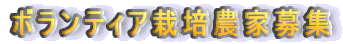 {eBA͔|_ƕW